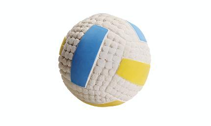 Squeaky Dog Volley ball Toy