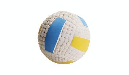 Squeaky Dog Volley ball Toy