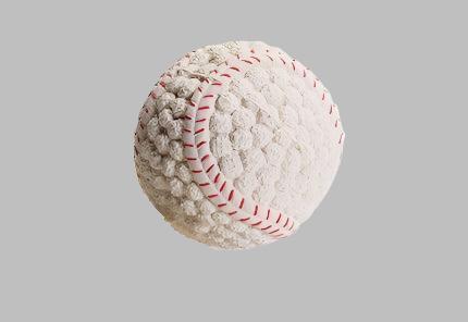 Squeaky Dog Baseball Toy